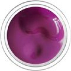 1.5043 - Brombeere 5gr.